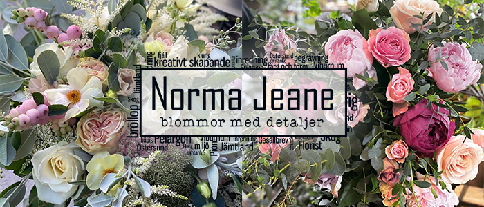 Norma Jeane Blommor med Detaljer – 10 % på snittblommor & krukväxter!