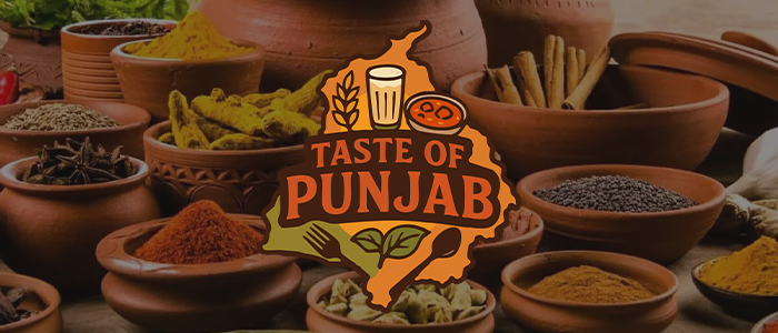 Taste of Punjab – 10 % rabatt på maten!